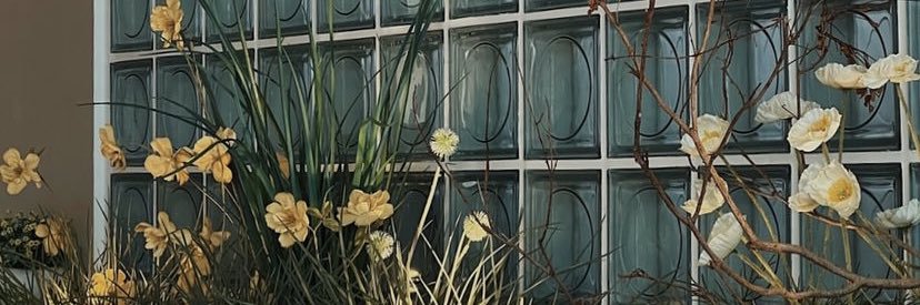 aunikim's profile banner image