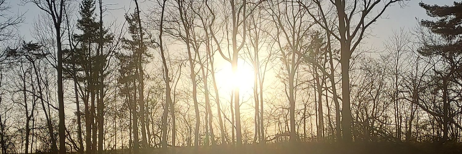 TashaMeece's profile banner image