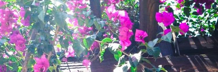 Gailaxy's profile banner image