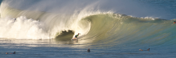 LibTechSurf Profile Banner