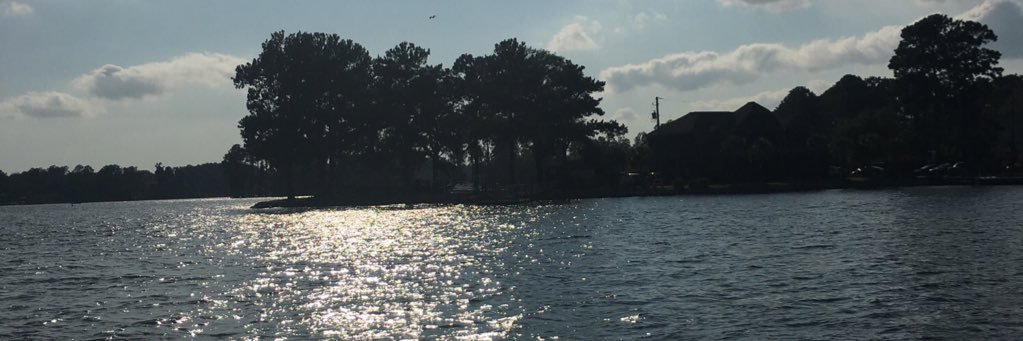 BJ_Hawk803's profile banner image