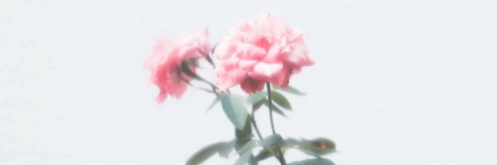 深山ちぃか banner