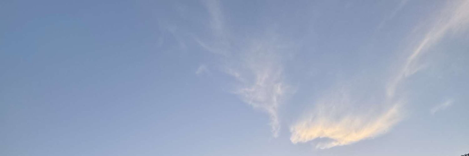 Poidevin_Lily's profile banner image