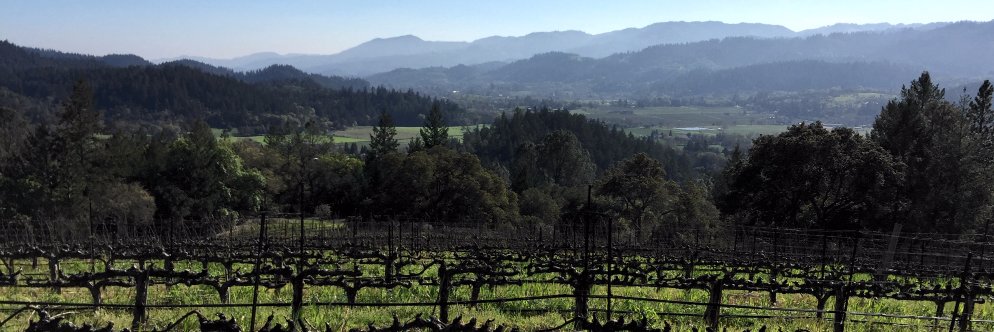 JonesFamilyWine's profile banner image