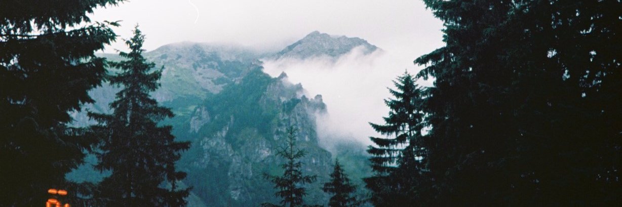 nataliamigdal's profile banner image