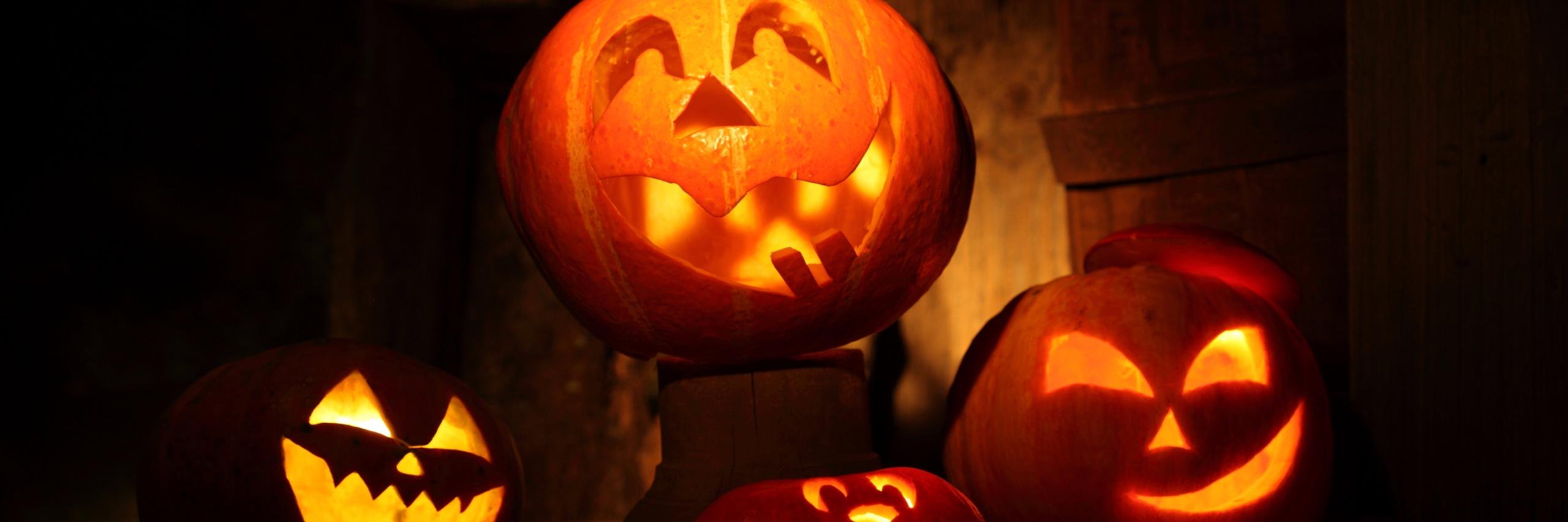 pumpk1n_bum's profile banner image