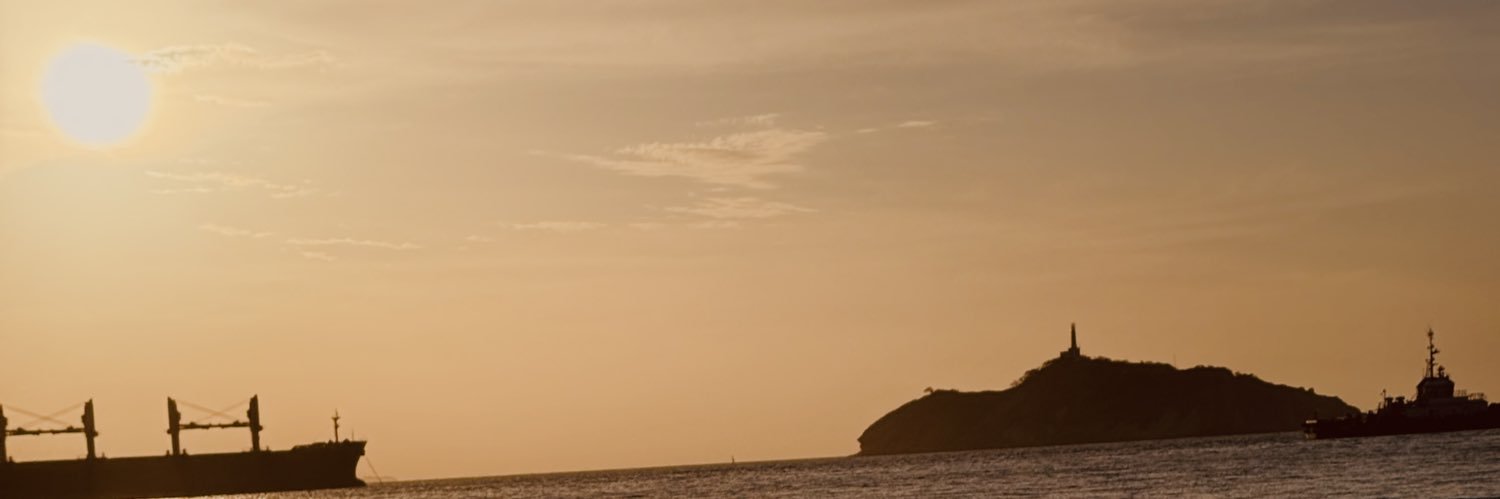 Skmarquez16's profile banner image
