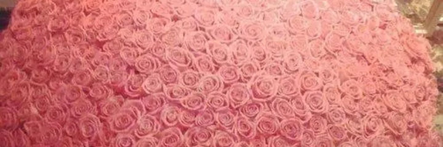 jn3rxw's profile banner image