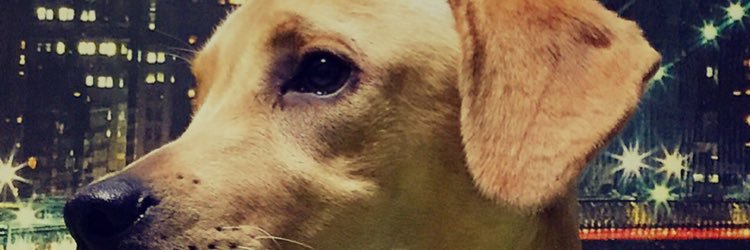 AitorSotto's profile banner image