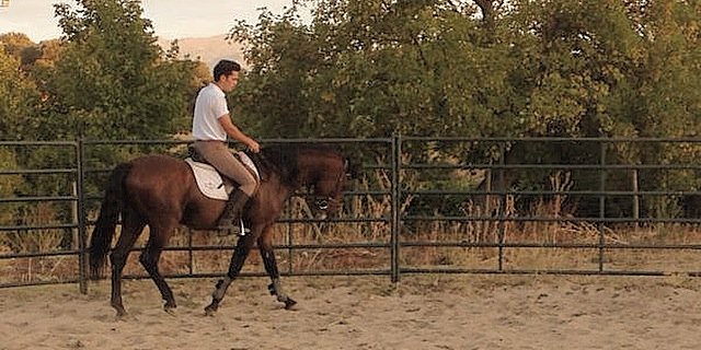 luisprietotovar's profile banner image