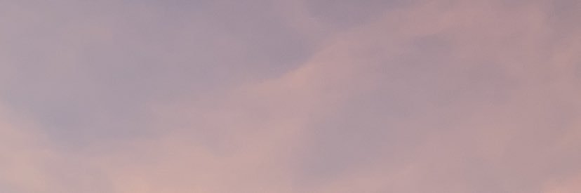 sharkchanw's profile banner image