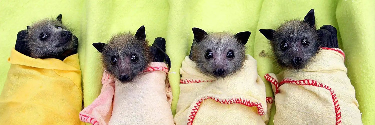 La Signora Marmo 🕵🏻‍♀️ banner