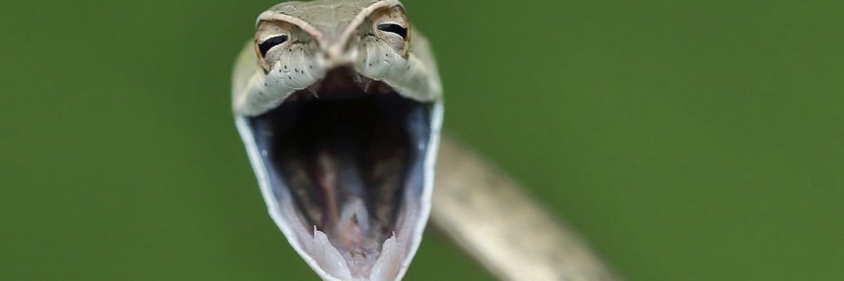 PvanPinxteren's profile banner image