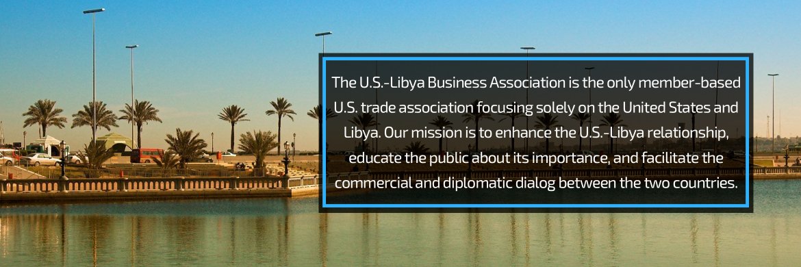 USLBA's profile banner image