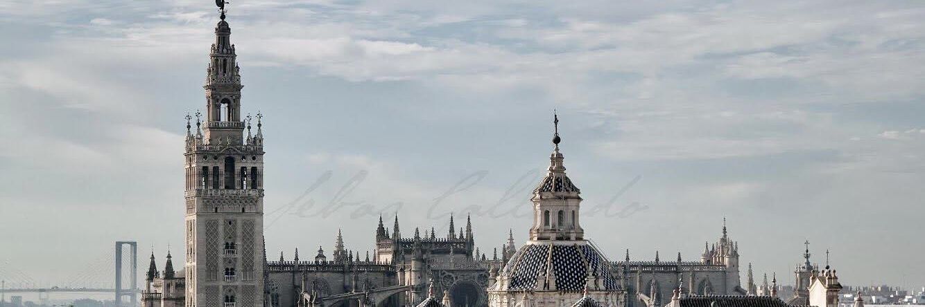 davimartiny's profile banner image