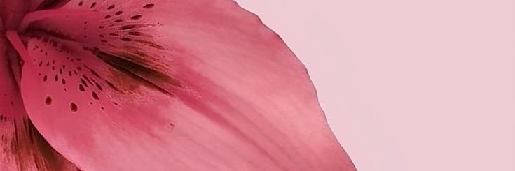 FleitasAzul's profile banner image