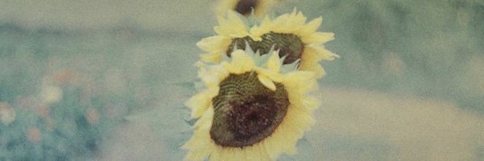 anne_pi's profile banner image