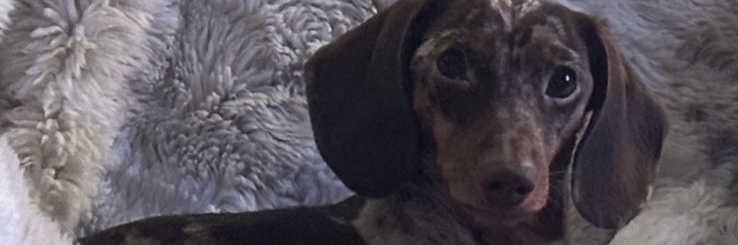 wtfitp's profile banner image