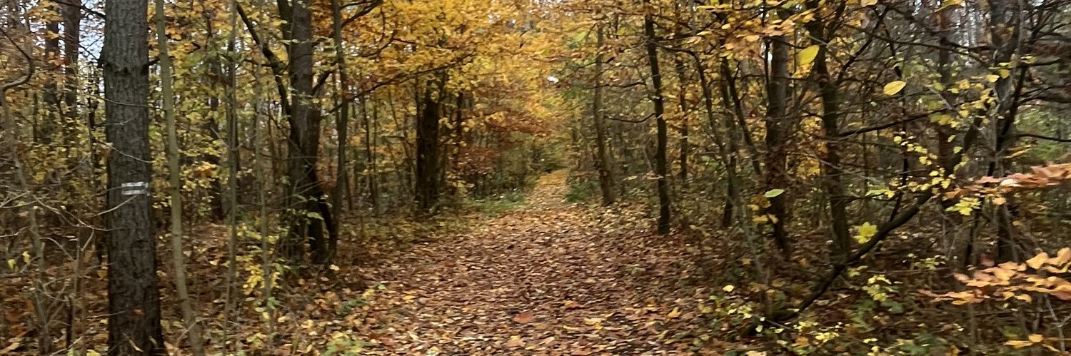 Dominika Zenka-Podlaszewska banner