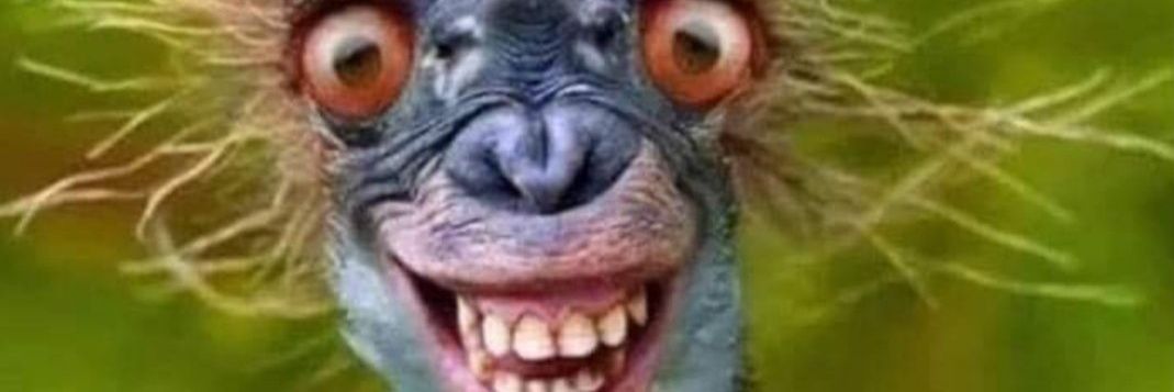 🌻🇺🇦Hangry! banner