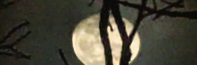 Vendesca's profile banner image