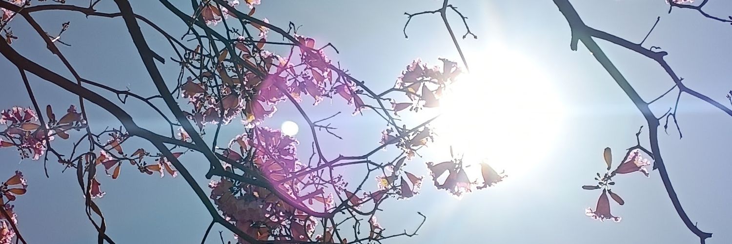 wandabelin's profile banner image