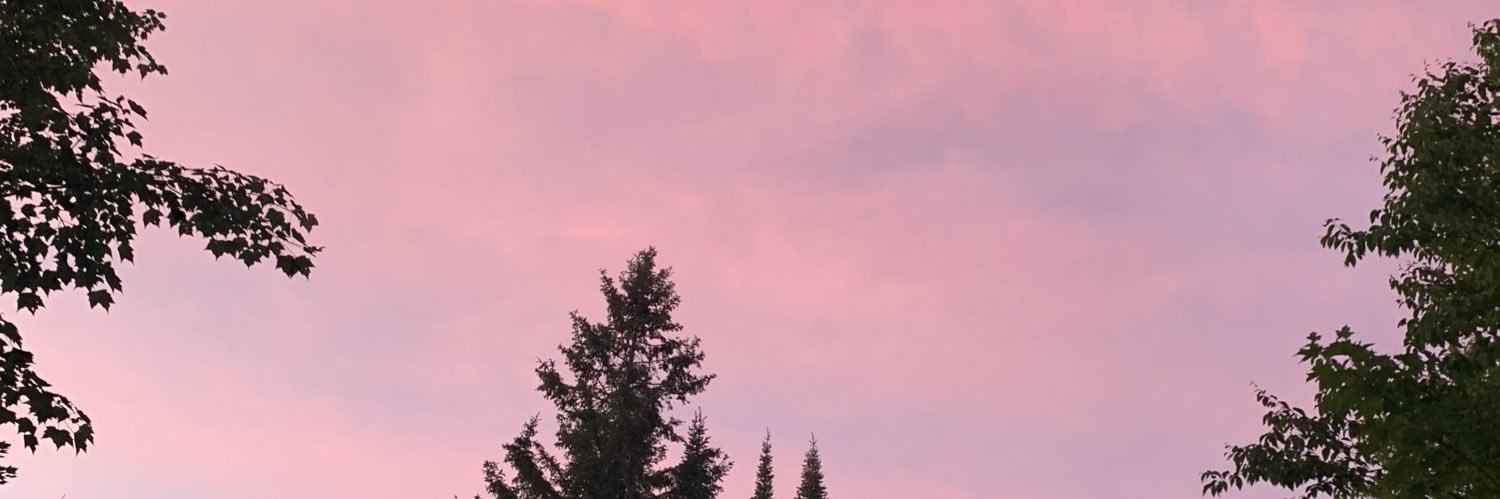 NArtymko's profile banner image