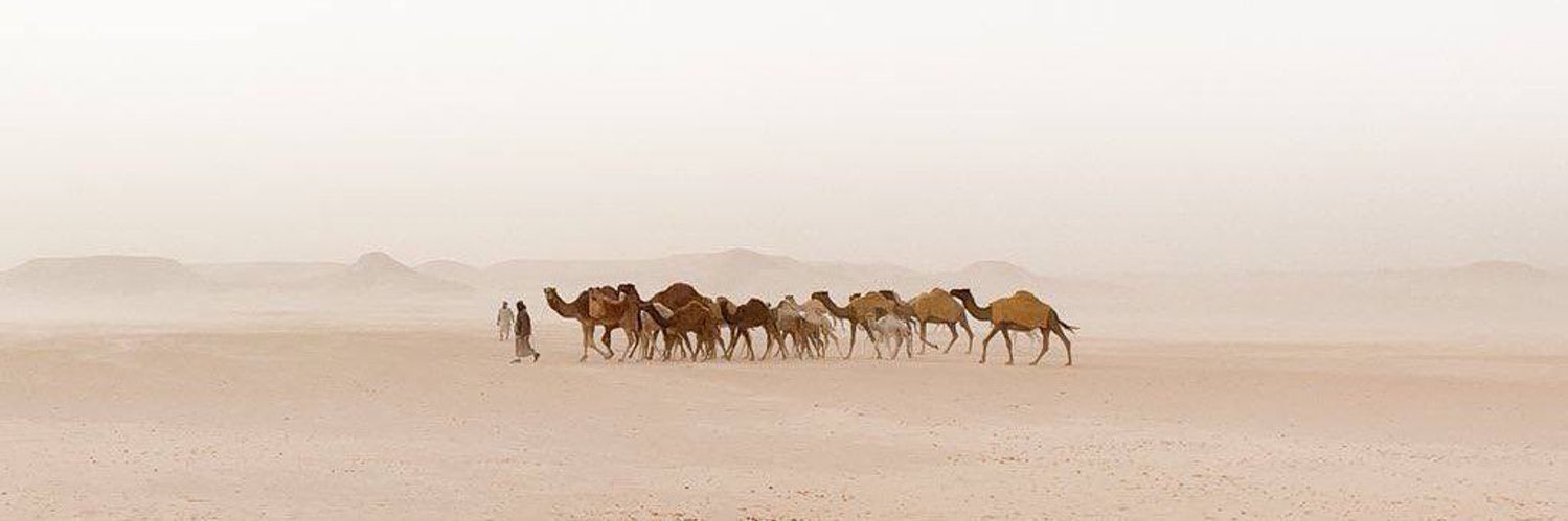 عبدالله مسلط banner