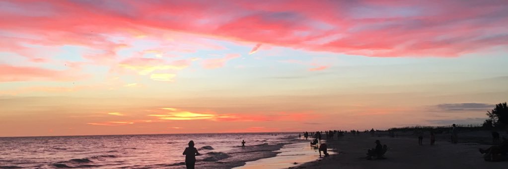 EmilyBerquam's profile banner image