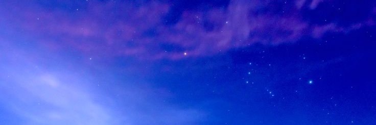 DeepMorpho's profile banner image
