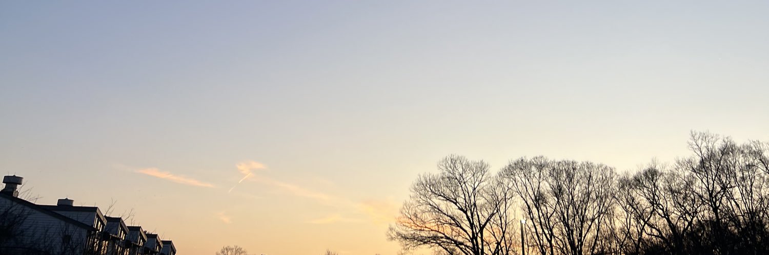 N0VH_'s profile banner image