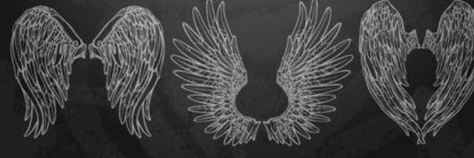 SharpenedKnive's profile banner image