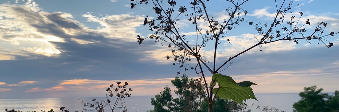 KaylaKrull_'s profile banner image