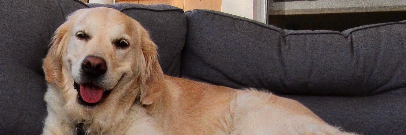 thebettercohoon's profile banner image