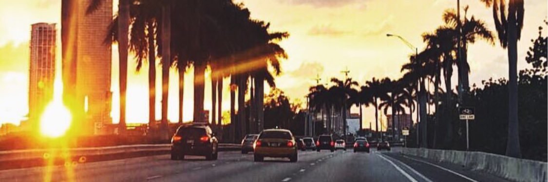 lisana_falcon's profile banner image