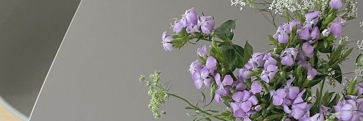 sunxiaotings's profile banner image