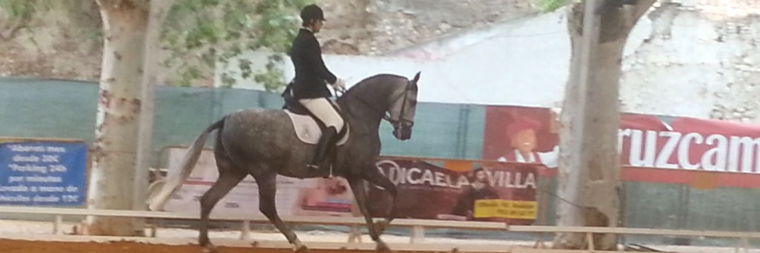 JesusPeaLopez's profile banner image