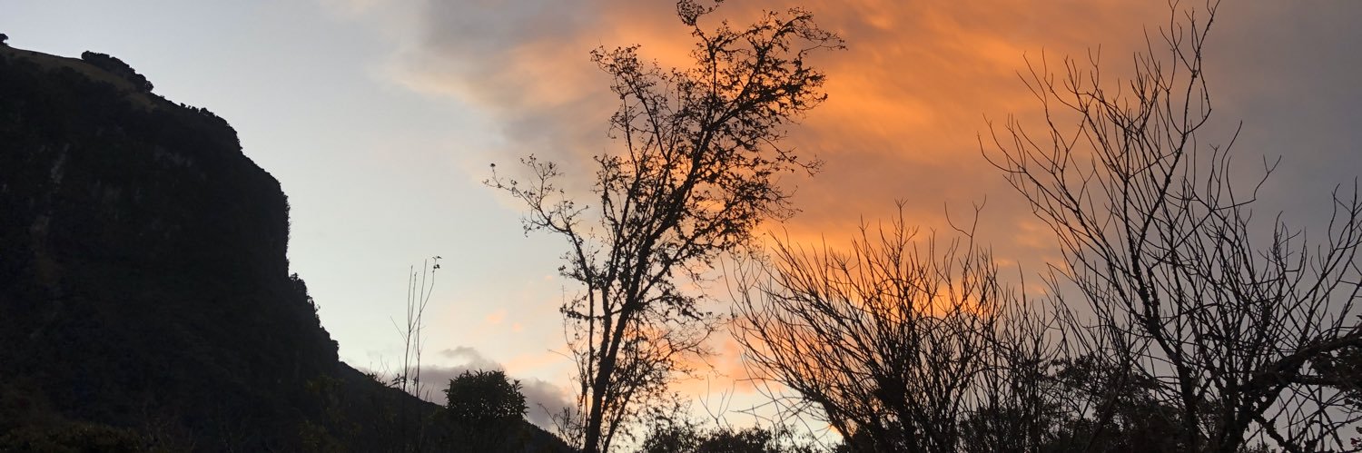 Veronica_Q's profile banner image