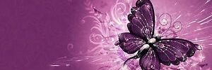 spunkeysox's profile banner image