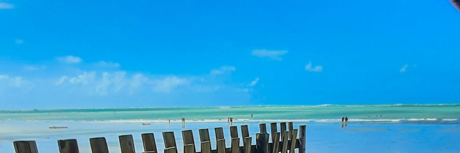 kochbruna_'s profile banner image