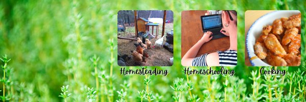 ForgetfulMomma Profile Banner