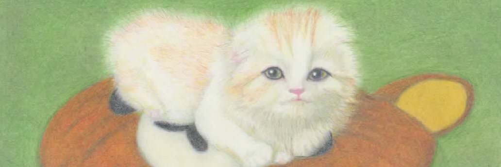 nobushunyui's profile banner image