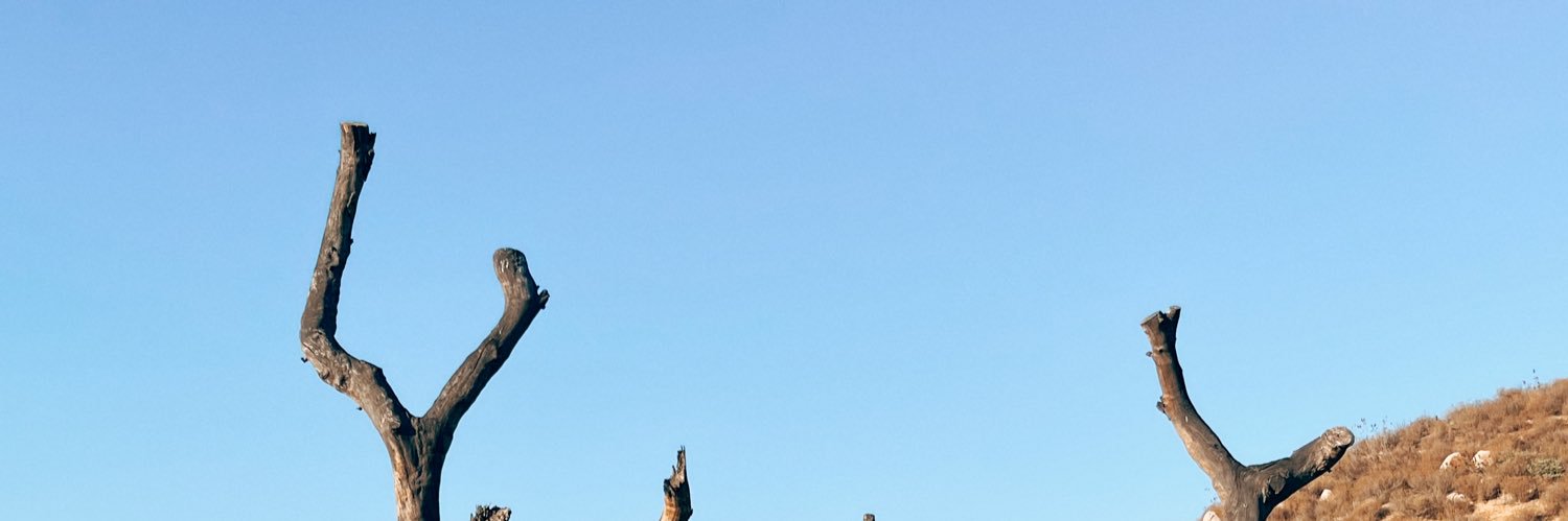 fridasaro's profile banner image