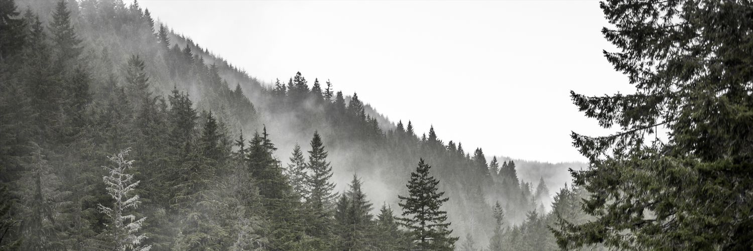 granthills17's profile banner image
