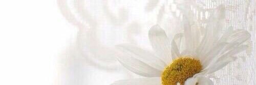 ambitiousdream3's profile banner image