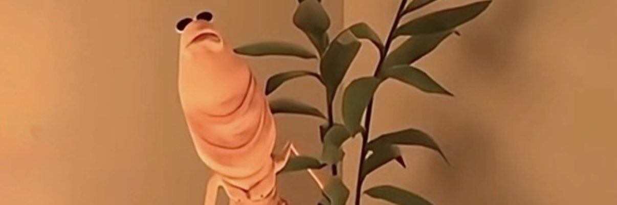 TaylorrrTrue's profile banner image