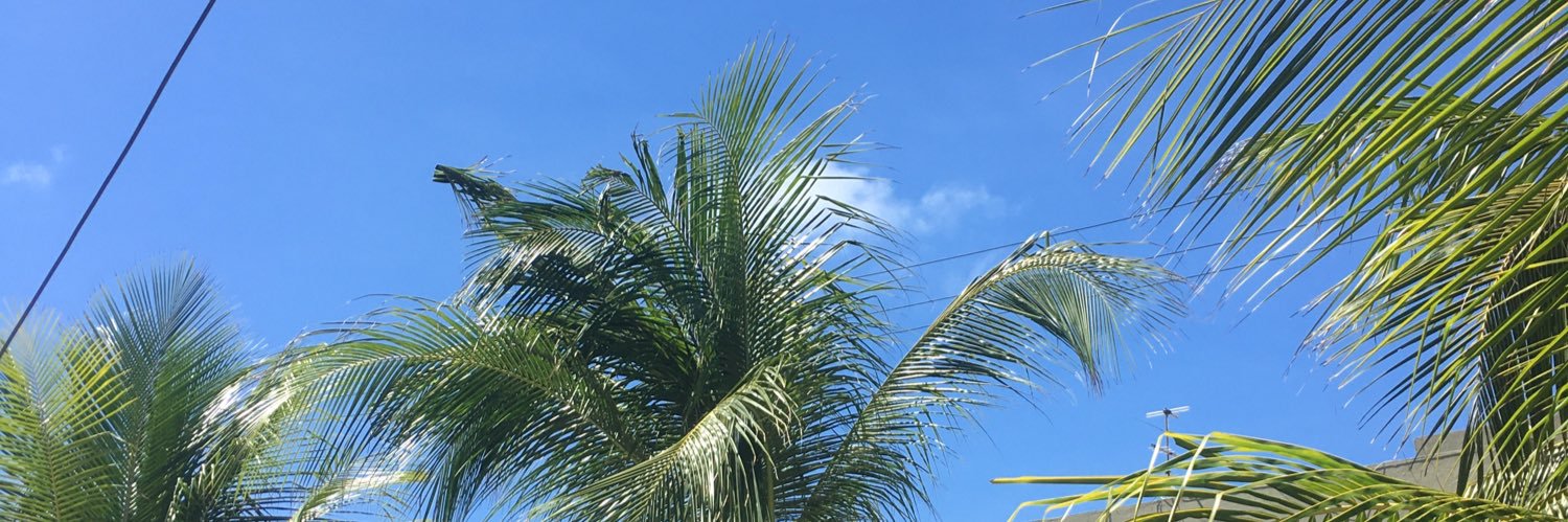 Robertocdsf's profile banner image