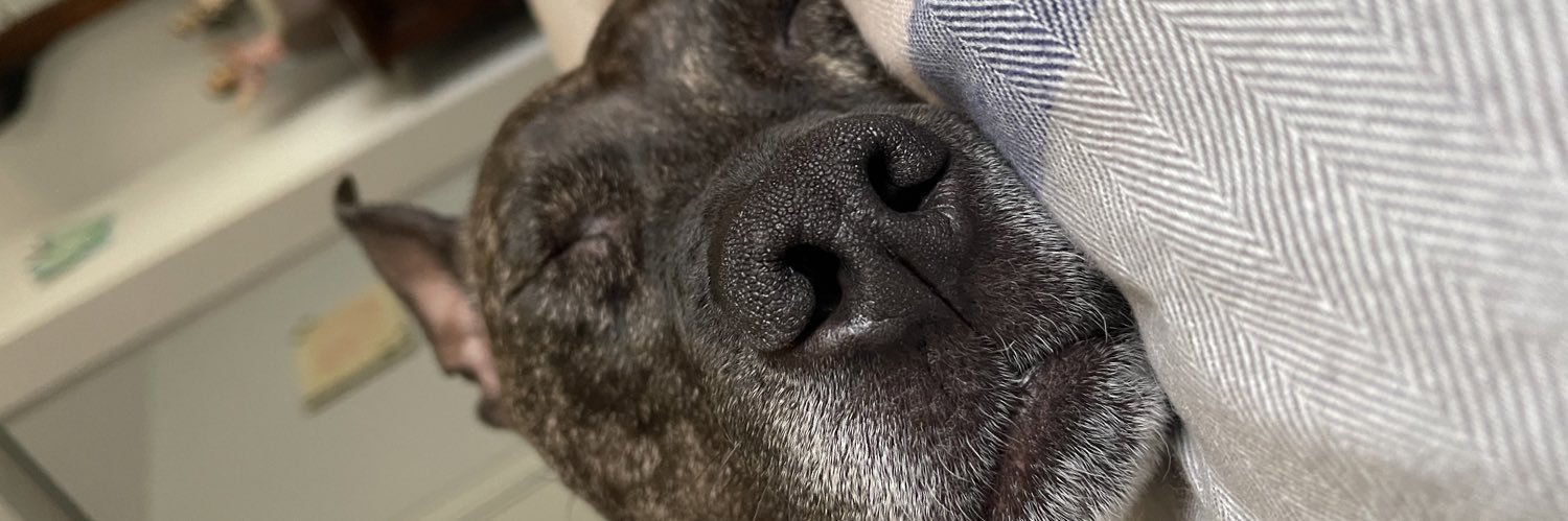 RealLPRICE's profile banner image