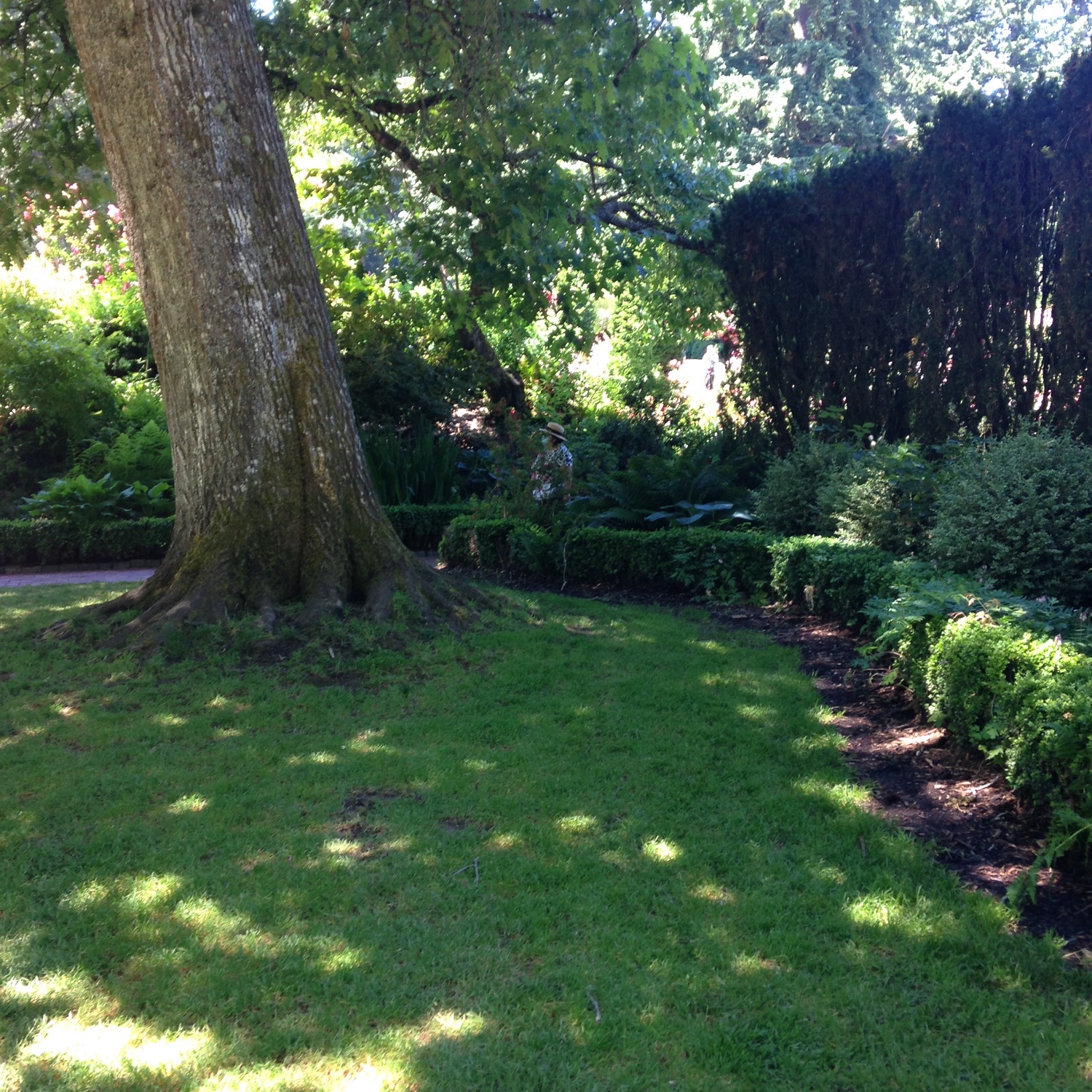 Heather Brien banner