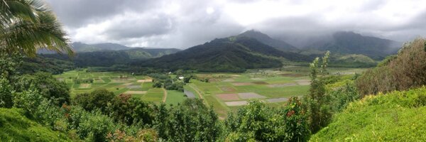 toku808 Profile Banner